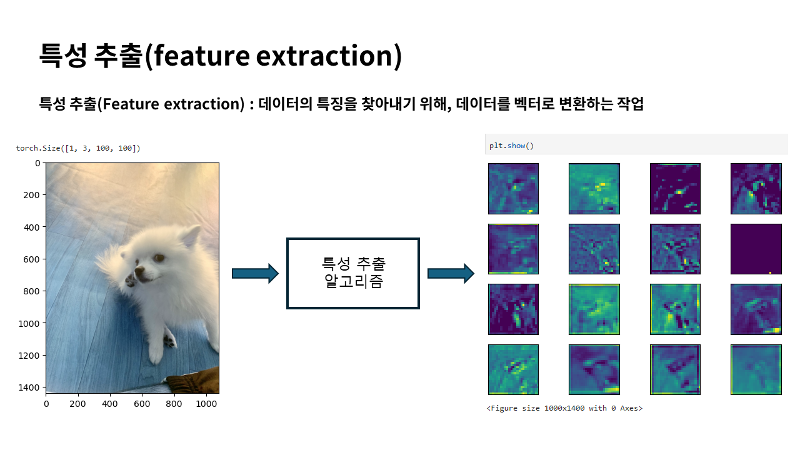 특성 추출